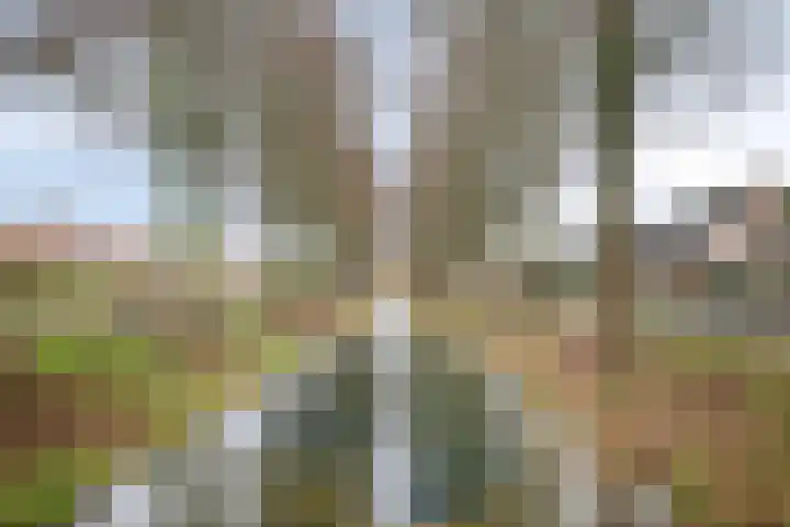 Overkroetenlaan 59 Breda thumbnail 47