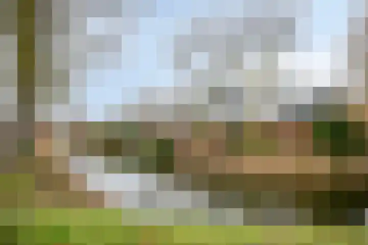 Overkroetenlaan 59 Breda thumbnail 48