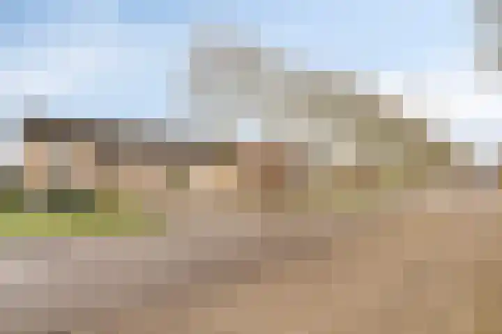 Overkroetenlaan 59 Breda thumbnail 6
