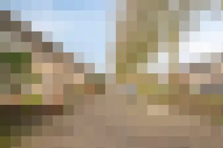 Overkroetenlaan 59 Breda thumbnail 8