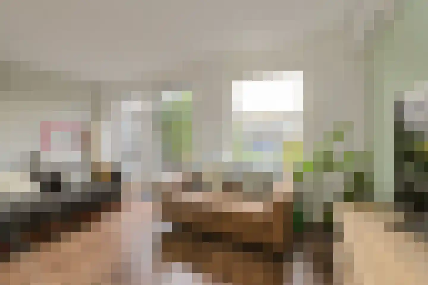 Overkroetenlaan 66 Breda thumbnail 13