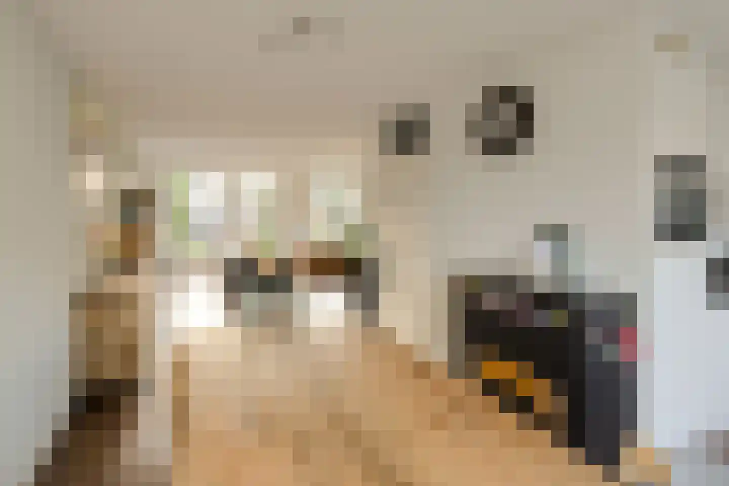 Overkroetenlaan 66 Breda thumbnail 20