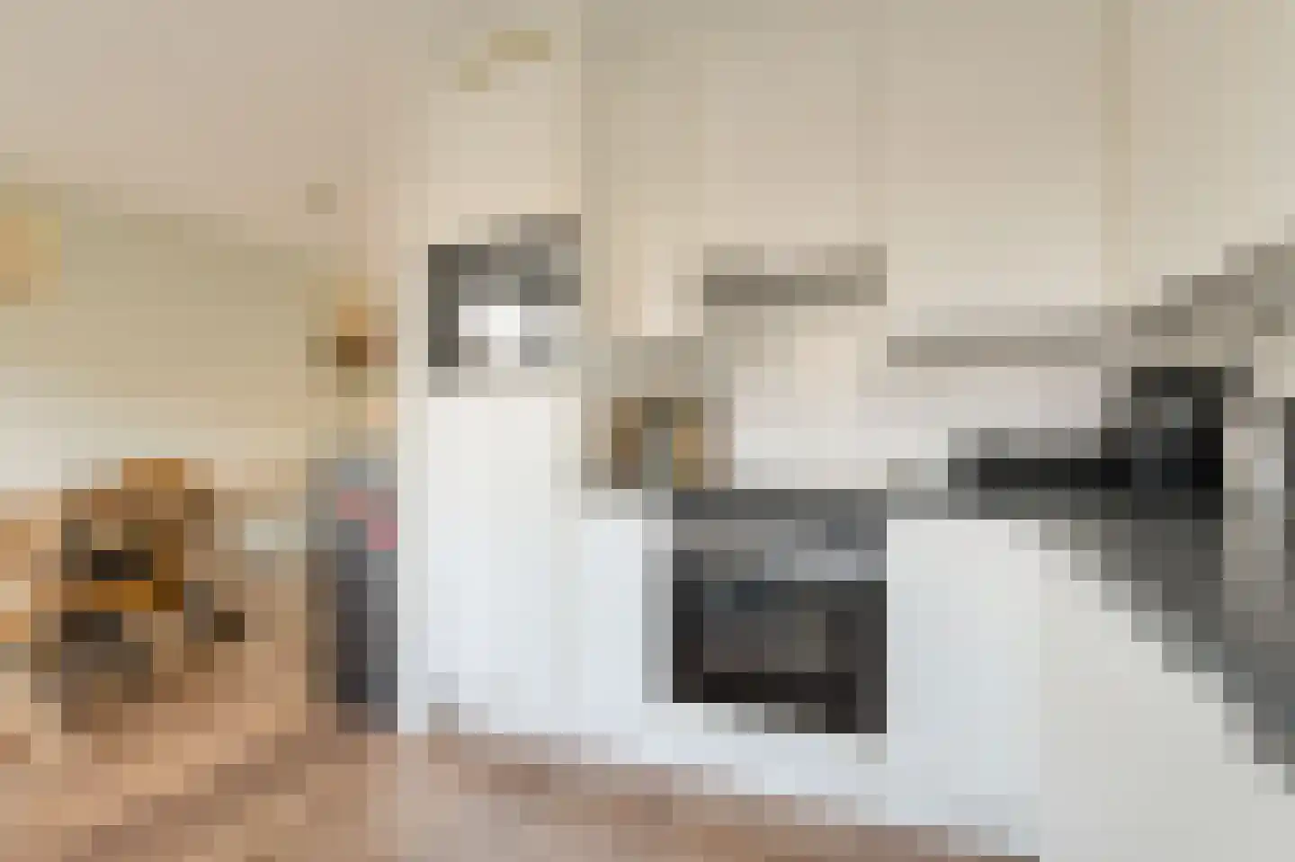 Overkroetenlaan 66 Breda thumbnail 21