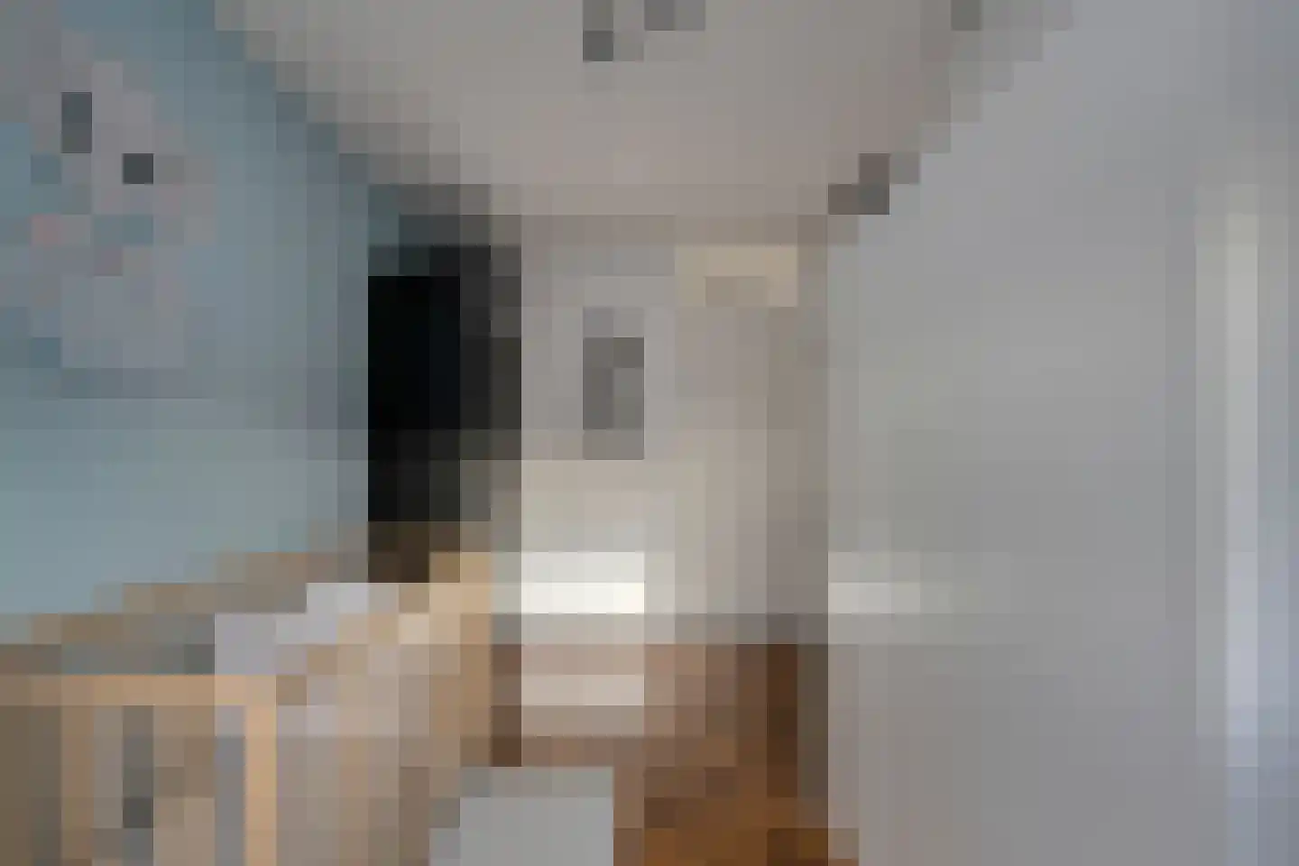 Overkroetenlaan 66 Breda thumbnail 34