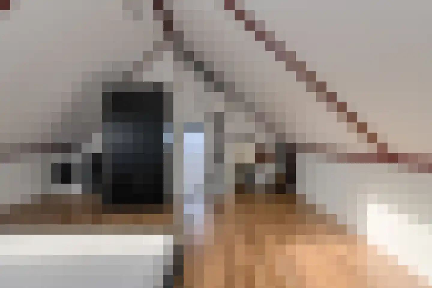Overkroetenlaan 66 Breda thumbnail 38