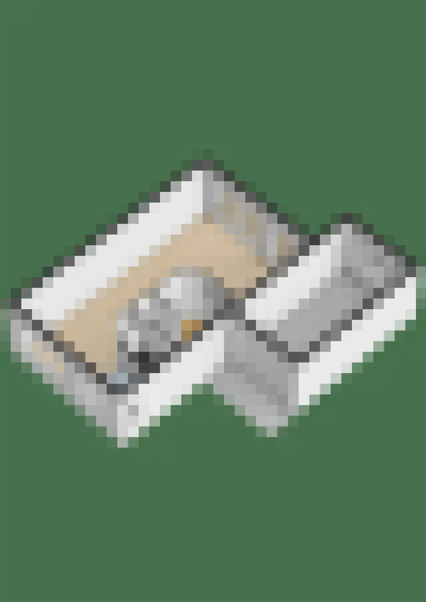 Overkroetenlaan 66 Breda thumbnail 50