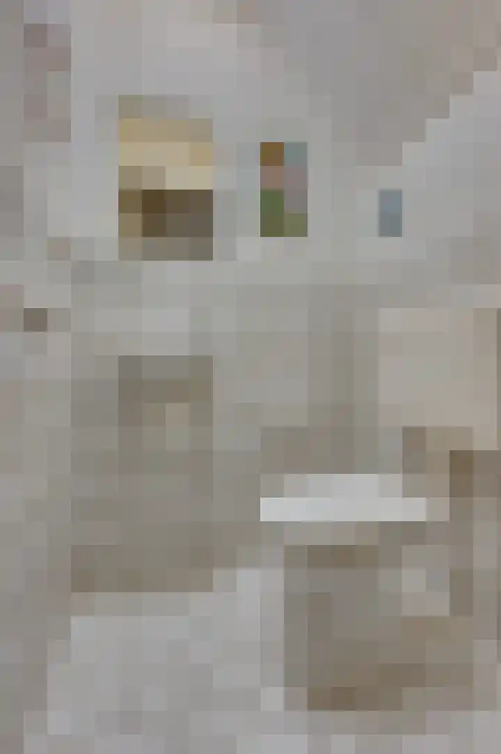 Overkwartier 30 Belfeld thumbnail 21