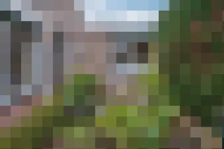 Overkwartier 30 Belfeld thumbnail 28