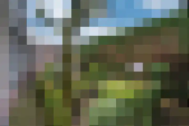 Overkwartier 30 Belfeld thumbnail 29