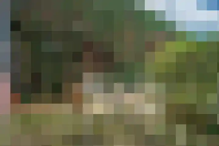 Overkwartier 30 Belfeld thumbnail 31