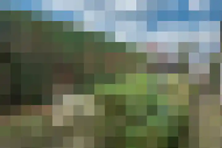 Overkwartier 30 Belfeld thumbnail 33