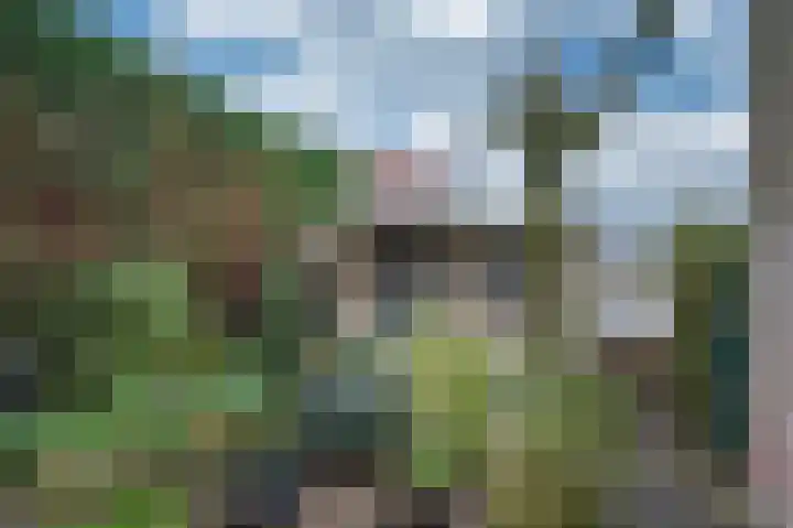 Overkwartier 30 Belfeld thumbnail 34