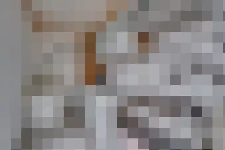 Overkwartier 30 Belfeld thumbnail 5