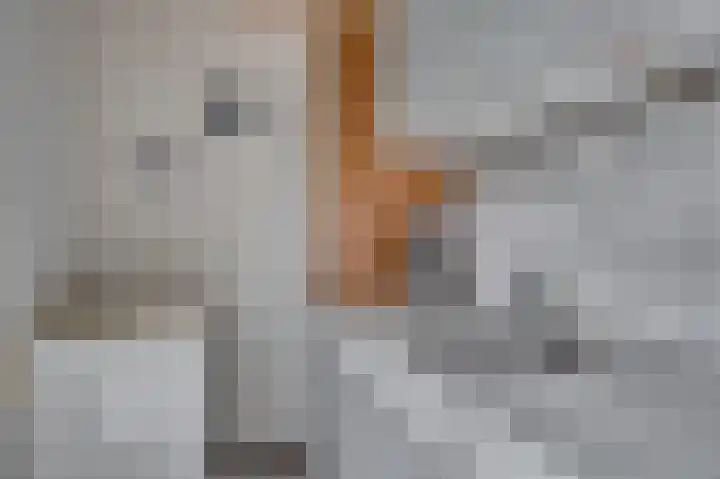 Overkwartier 30 Belfeld thumbnail 6