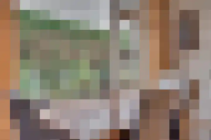 Overkwartier 30 Belfeld thumbnail 9