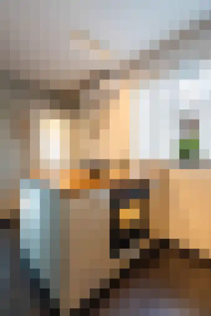 Overkwartierstraat 7 Weert thumbnail 20