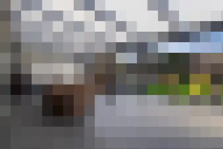 Overkwartierstraat 7 Weert thumbnail 32