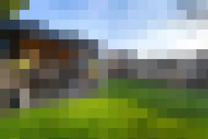 Overkwartierstraat 7 Weert thumbnail 43