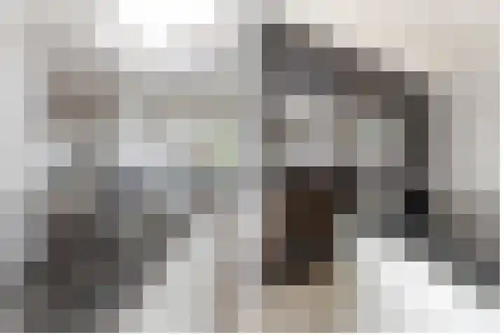 Overlaat 40 Sliedrecht thumbnail 10