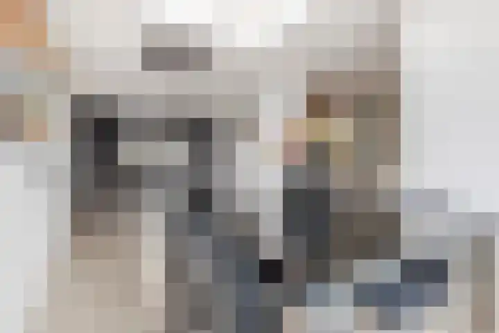 Overlaat 40 Sliedrecht thumbnail 11