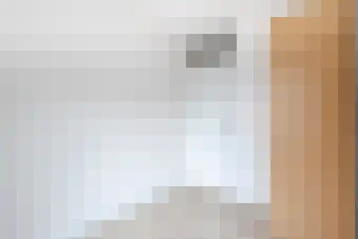 Overlaat 40 Sliedrecht thumbnail 15