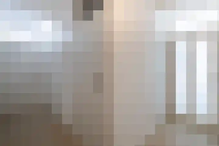 Overlaat 40 Sliedrecht thumbnail 16