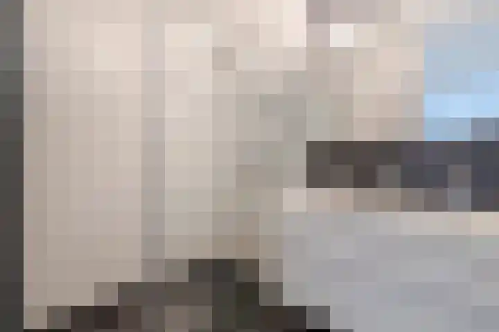 Overlaat 40 Sliedrecht thumbnail 17