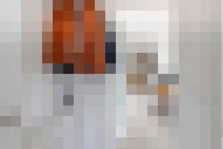 Overlaat 40 Sliedrecht thumbnail 20