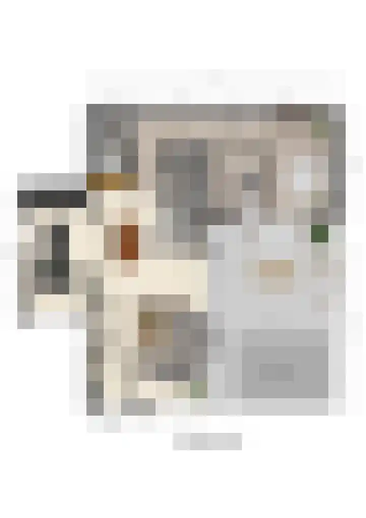 Overlaat 40 Sliedrecht thumbnail 29