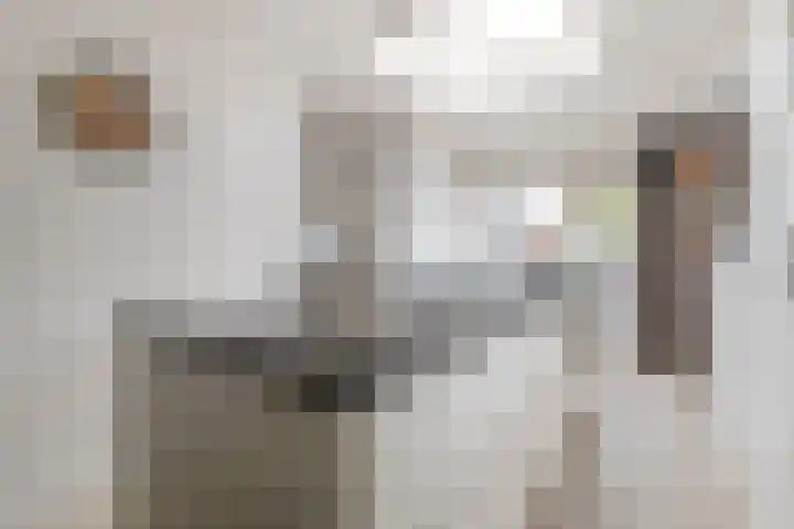 Overlaat 40 Sliedrecht thumbnail 7