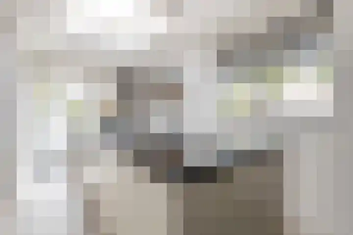 Overlaat 40 Sliedrecht thumbnail 9