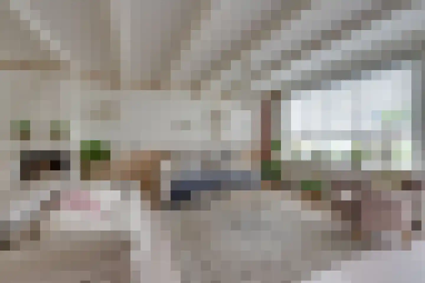Overlanderstraat 337 Purmerend thumbnail 12