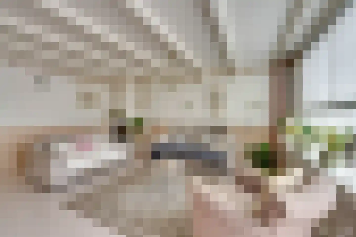 Overlanderstraat 337 Purmerend thumbnail 13