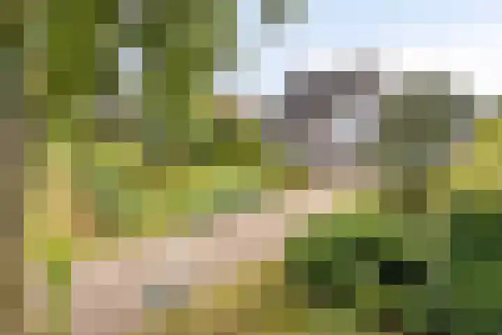 Overlangelseweg 12 A Overlangel thumbnail 32