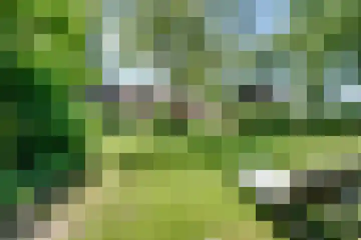 Overlangelseweg 3 Overlangel thumbnail 45