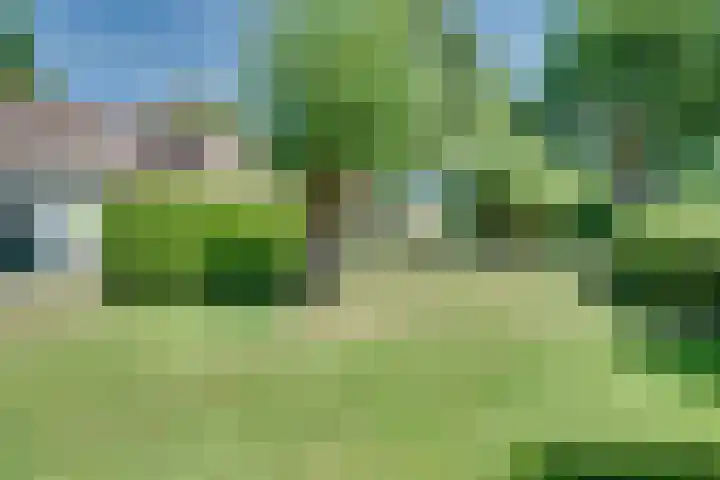 Overlangelseweg 3 Overlangel thumbnail 46