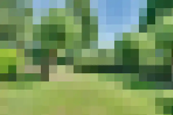Overlangelseweg 3 Overlangel thumbnail 47