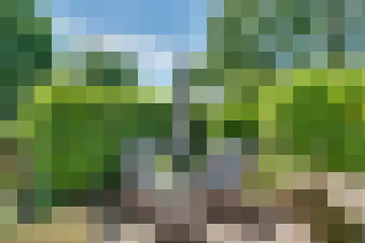 Overlangelseweg 3 Overlangel thumbnail 49