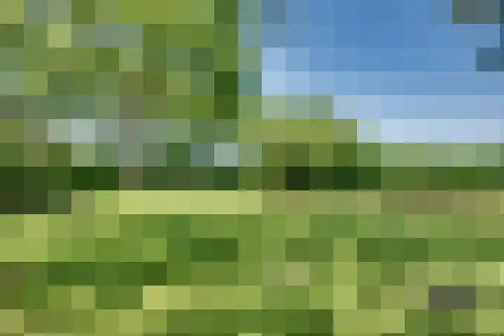 Overlangelseweg 3 Overlangel thumbnail 61