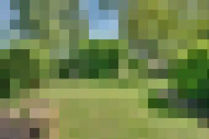 Overlangelseweg 3 Overlangel thumbnail 62