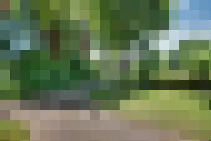 Overlangelseweg 3 Overlangel thumbnail 63