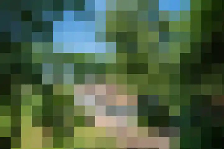 Overlangelseweg 3 Overlangel thumbnail 66