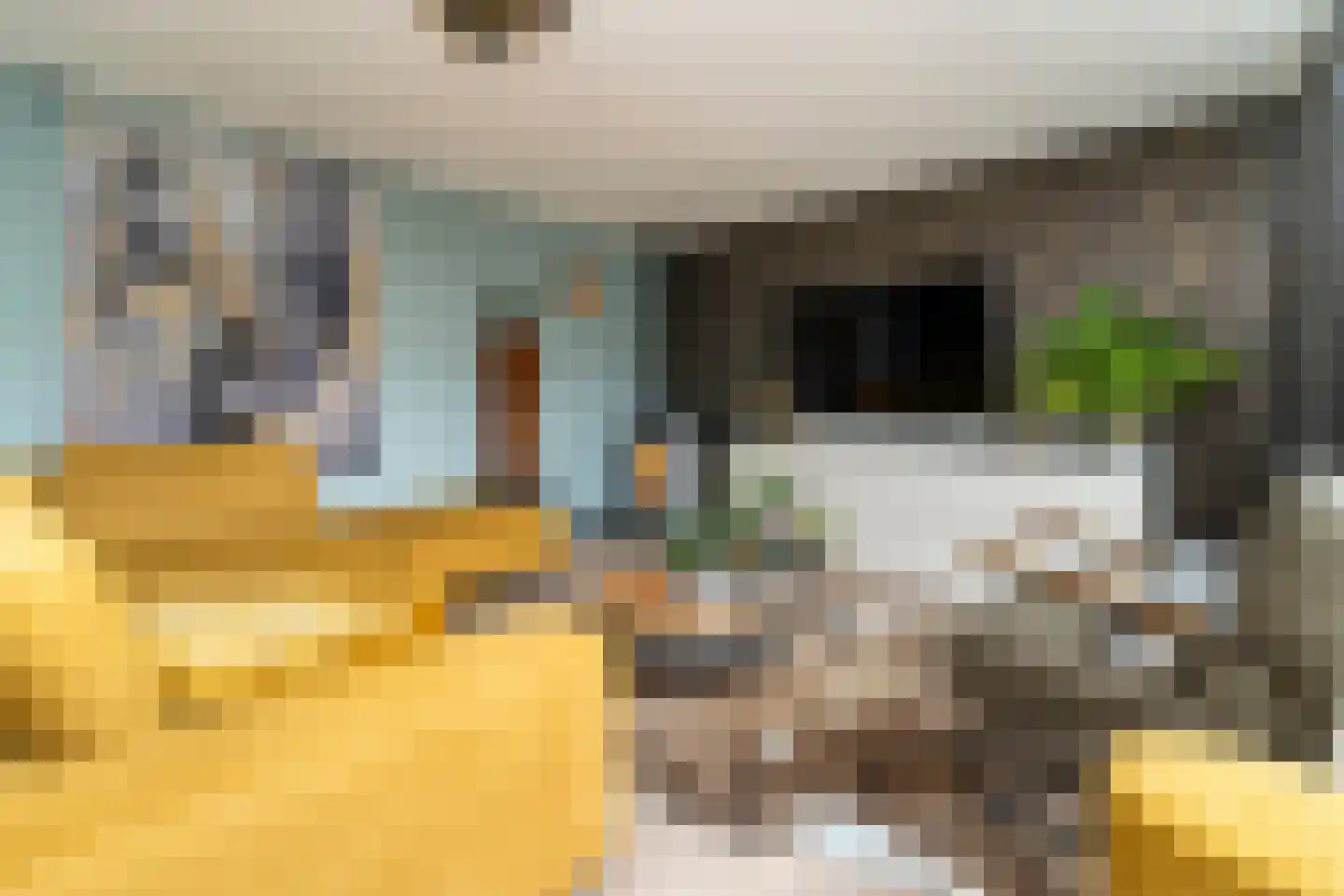 Overlangelstraat 12 Tilburg thumbnail 11