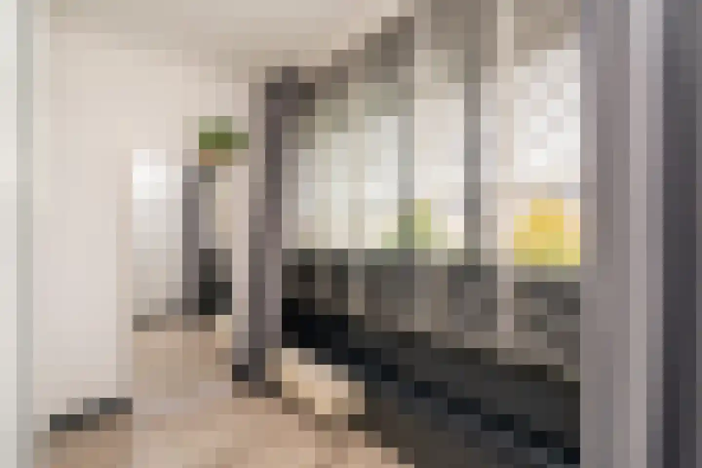 Overlangelstraat 12 Tilburg thumbnail 19