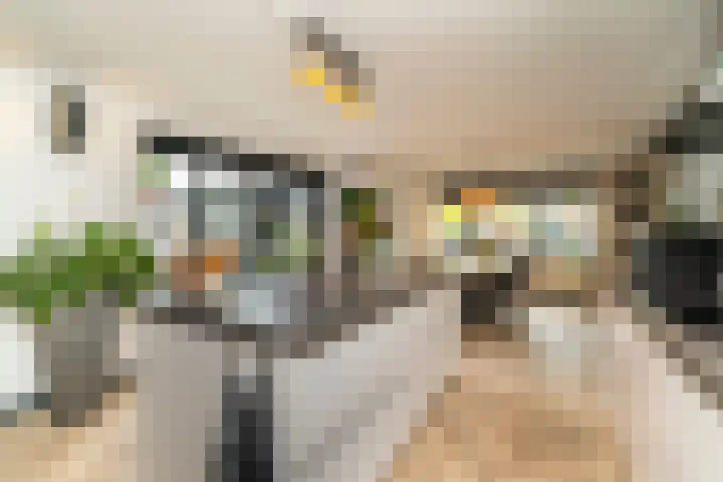 Overlangelstraat 12 Tilburg thumbnail 9
