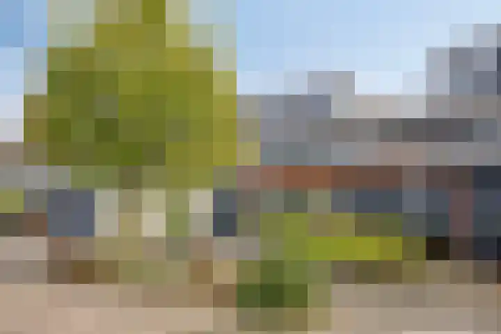 Overlangelstraat 14 Tilburg thumbnail 7