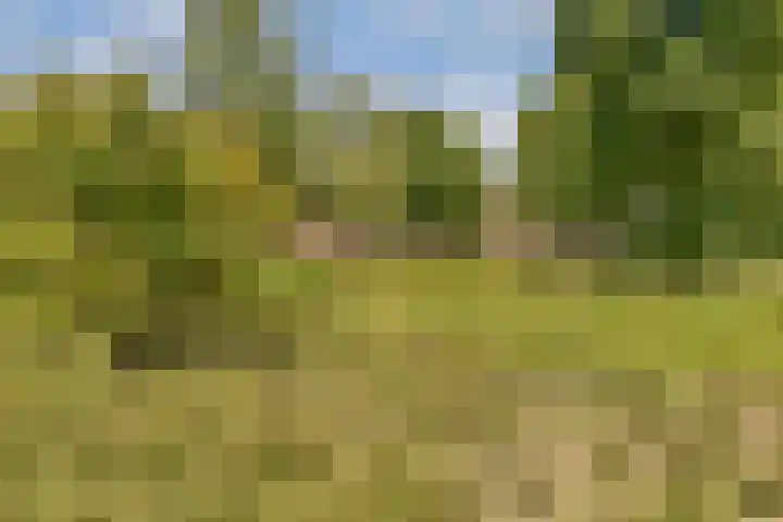 Overleg 100 Amsterdam thumbnail 21