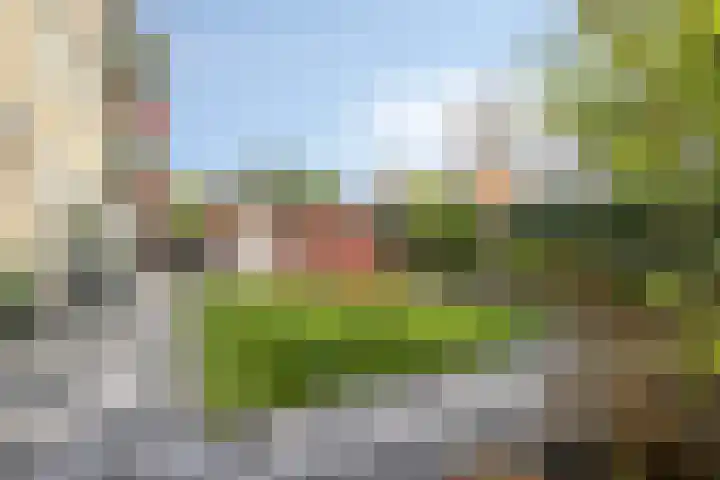 Overleg 44 Amsterdam thumbnail 20