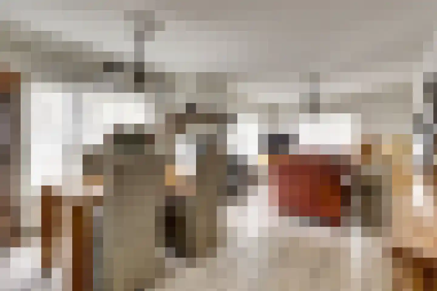 Overloonseweg 30 Venray thumbnail 8