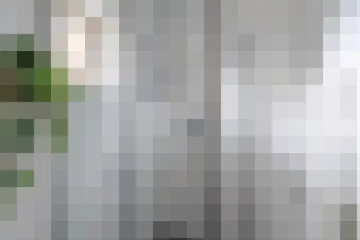 Overloonseweg 75 A Venray thumbnail 40